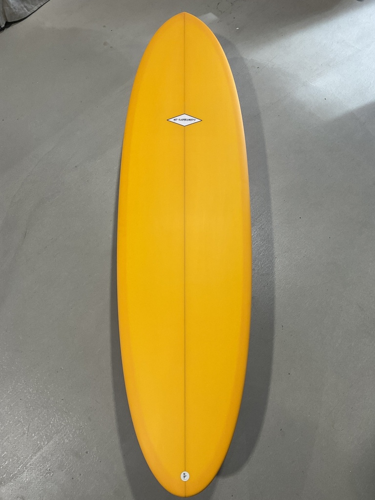 Snake MD Surfboards 6'6